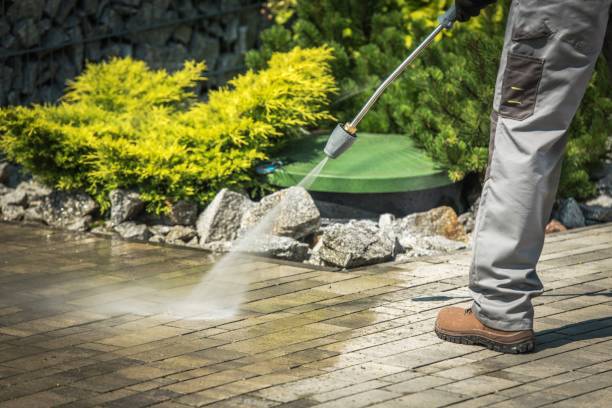 Best House Exterior Washing  in Avalon, CA