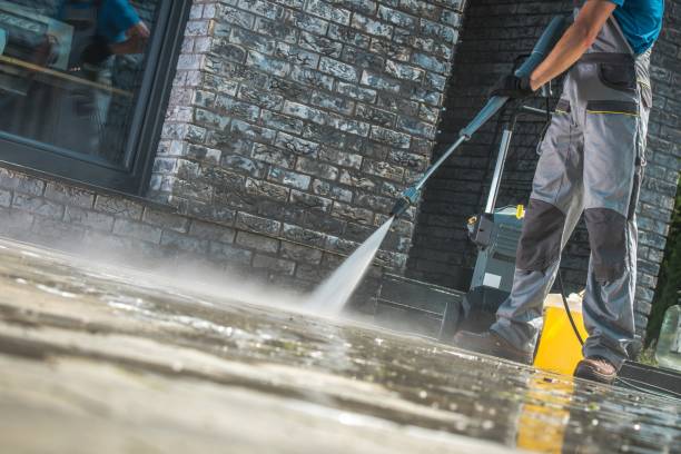 Best Oil Spill Cleanup  in Avalon, CA