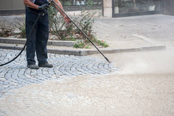 Best Gutter Cleaning  in Avalon, CA